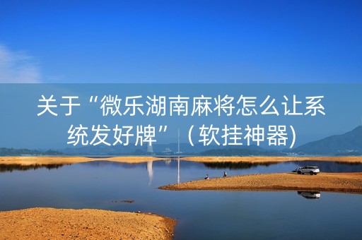 关于“微乐湖南麻将怎么让系统发好牌”（软挂神器)