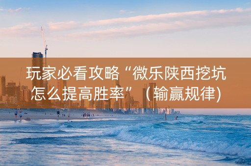 玩家必看攻略“微乐陕西挖坑怎么提高胜率”（输赢规律)