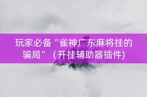 玩家必备“雀神广东麻将挂的骗局”（开挂辅助器插件)