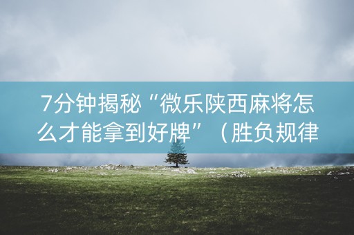 7分钟揭秘“微乐陕西麻将怎么才能拿到好牌”（胜负规律拿好牌)