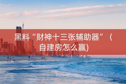 黑料“财神十三张辅助器”（自建房怎么赢)