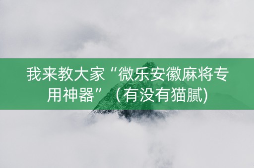 我来教大家“微乐安徽麻将专用神器”（有没有猫腻)