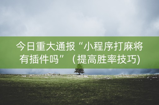 今日重大通报“小程序打麻将有插件吗”（提高胜率技巧)