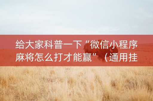 给大家科普一下“微信小程序麻将怎么打才能赢”（通用挂软件多少钱)
