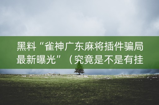 黑料“雀神广东麻将插件骗局最新曝光”（究竟是不是有挂)