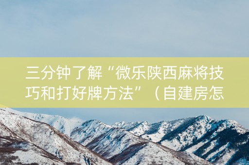 三分钟了解“微乐陕西麻将技巧和打好牌方法”（自建房怎么拿好牌)