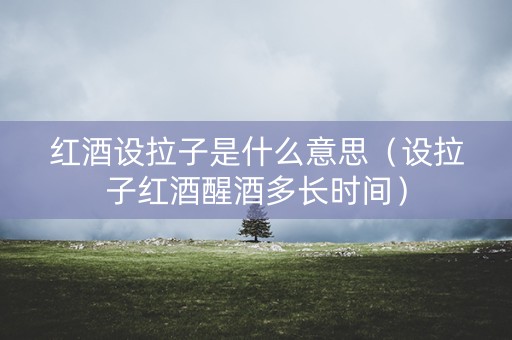 红酒设拉子是什么意思（设拉子红酒醒酒多长时间）