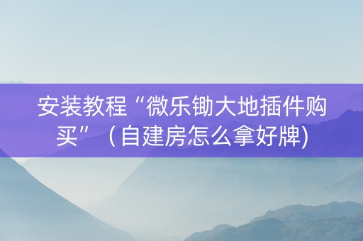 安装教程“微乐锄大地插件购买”（自建房怎么拿好牌)