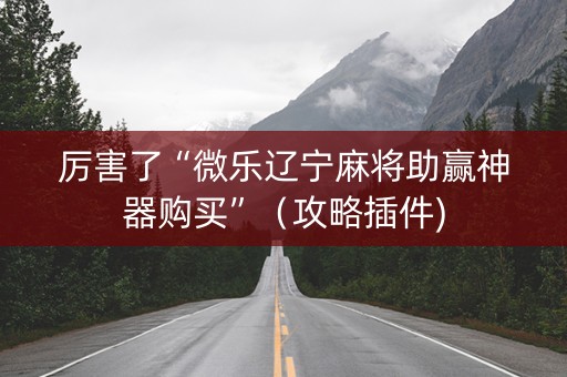 厉害了“微乐辽宁麻将助赢神器购买”（攻略插件)