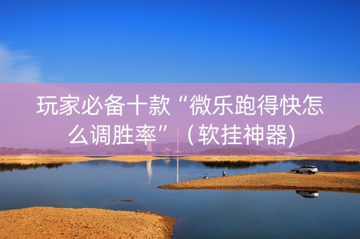 玩家必备十款“微乐跑得快怎么调胜率”（软挂神器)