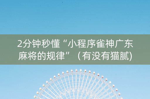 2分钟秒懂“小程序雀神广东麻将的规律”（有没有猫腻)