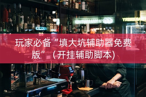 玩家必备“填大坑辅助器免费版”（开挂辅助脚本)
