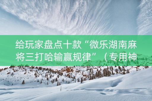 给玩家盘点十款“微乐湖南麻将三打哈输赢规律”（专用神器下载)