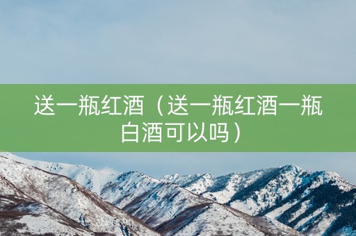 送一瓶红酒（送一瓶红酒一瓶白酒可以吗）