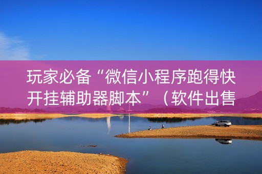 玩家必备“微信小程序跑得快开挂辅助器脚本”（软件出售)