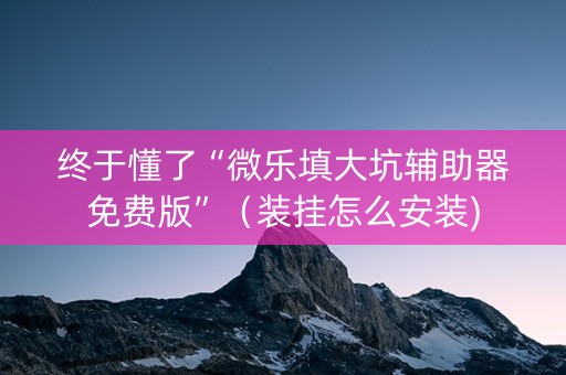 终于懂了“微乐填大坑辅助器免费版”（装挂怎么安装)