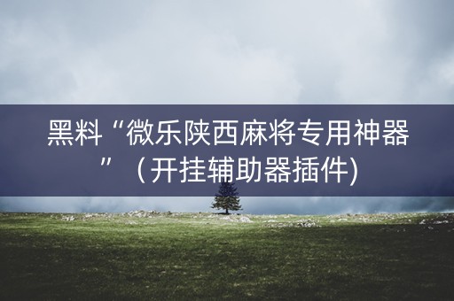 黑料“微乐陕西麻将专用神器”（开挂辅助器插件)