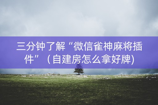 三分钟了解“微信雀神麻将插件”（自建房怎么拿好牌)