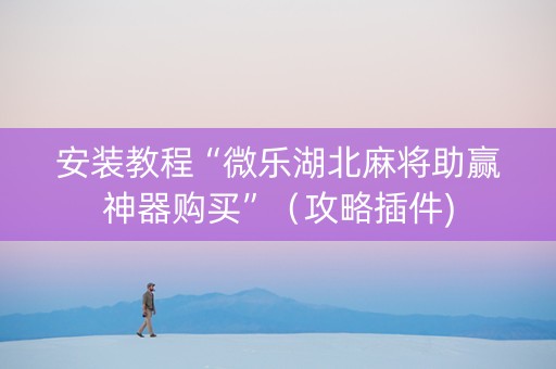 安装教程“微乐湖北麻将助赢神器购买”（攻略插件)
