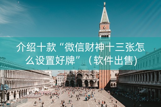 介绍十款“微信财神十三张怎么设置好牌”（软件出售)