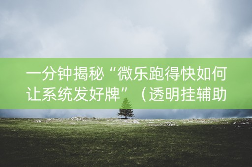 一分钟揭秘“微乐跑得快如何让系统发好牌”（透明挂辅助器)