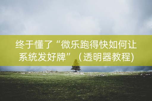终于懂了“微乐跑得快如何让系统发好牌”（透明器教程)