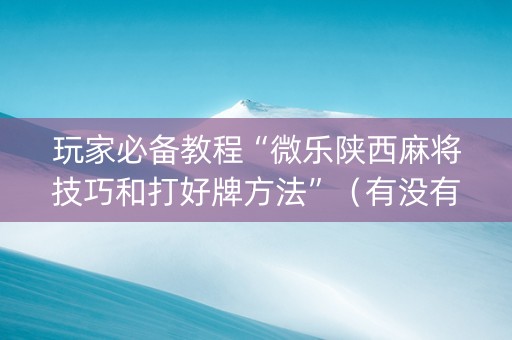 玩家必备教程“微乐陕西麻将技巧和打好牌方法”（有没有猫腻)