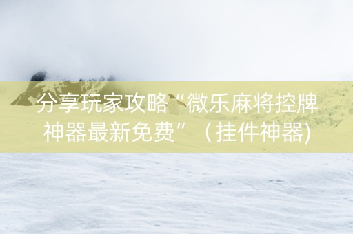 分享玩家攻略“微乐麻将控牌神器最新免费”（挂件神器)