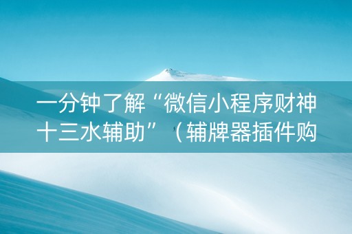 一分钟了解“微信小程序财神十三水辅助”（辅牌器插件购买)