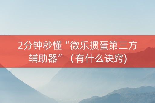 2分钟秒懂“微乐掼蛋第三方辅助器”（有什么诀窍)