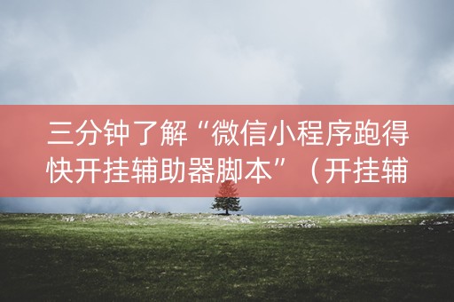 三分钟了解“微信小程序跑得快开挂辅助器脚本”（开挂辅助脚本)
