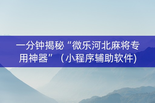 一分钟揭秘“微乐河北麻将专用神器”（小程序辅助软件)