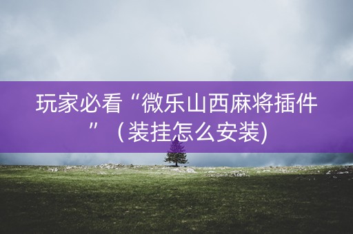 玩家必看“微乐山西麻将插件”（装挂怎么安装)
