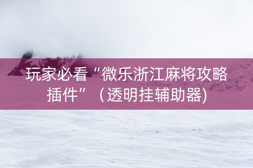 玩家必看“微乐浙江麻将攻略插件”（透明挂辅助器)
