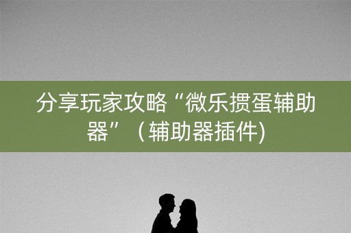分享玩家攻略“微乐掼蛋辅助器”（辅助器插件)