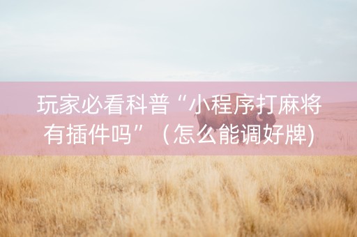 玩家必看科普“小程序打麻将有插件吗”（怎么能调好牌)