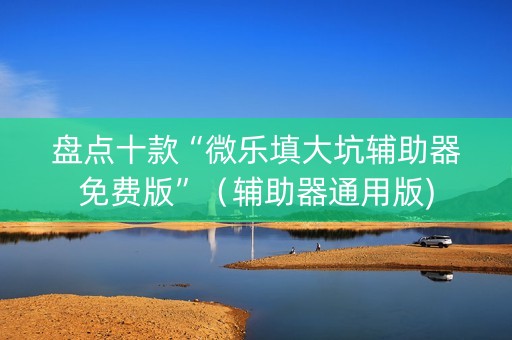 盘点十款“微乐填大坑辅助器免费版”（辅助器通用版)