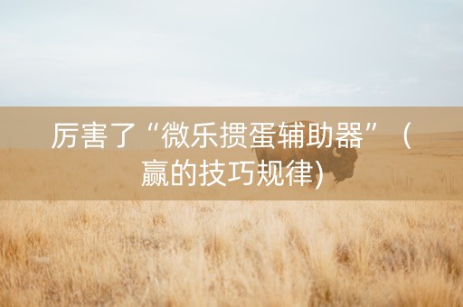 厉害了“微乐掼蛋辅助器”（赢的技巧规律)