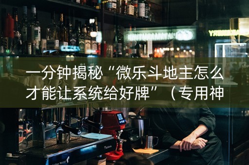 一分钟揭秘“微乐斗地主怎么才能让系统给好牌”（专用神器)