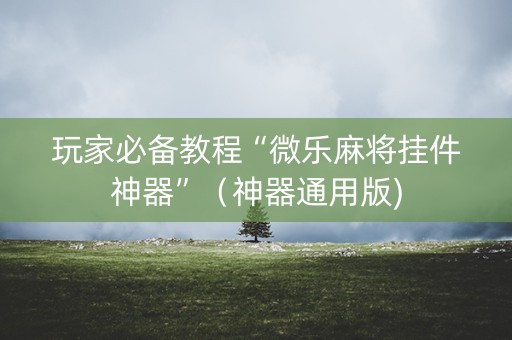 玩家必备教程“微乐麻将挂件神器”（神器通用版)