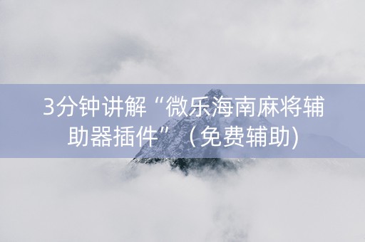 3分钟讲解“微乐海南麻将辅助器插件”（免费辅助)