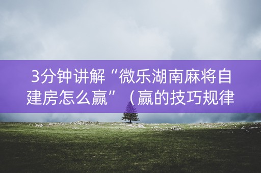 3分钟讲解“微乐湖南麻将自建房怎么赢”（赢的技巧规律)
