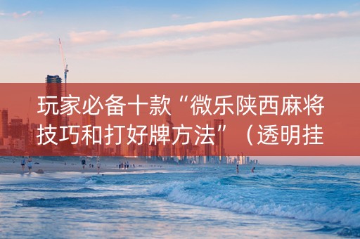 玩家必备十款“微乐陕西麻将技巧和打好牌方法”（透明挂辅助器)