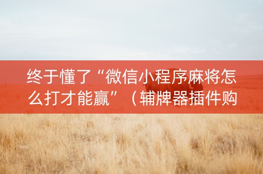 终于懂了“微信小程序麻将怎么打才能赢”（辅牌器插件购买)