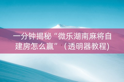 一分钟揭秘“微乐湖南麻将自建房怎么赢”（透明器教程)