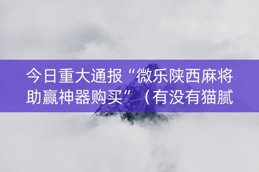 今日重大通报“微乐陕西麻将助赢神器购买”（有没有猫腻)