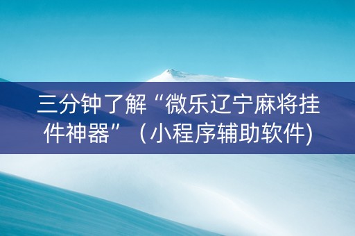 三分钟了解“微乐辽宁麻将挂件神器”（小程序辅助软件)