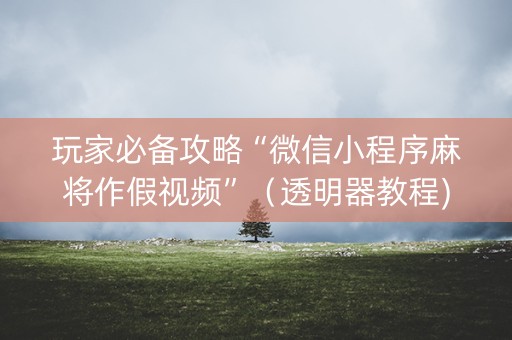 玩家必备攻略“微信小程序麻将作假视频”（透明器教程)