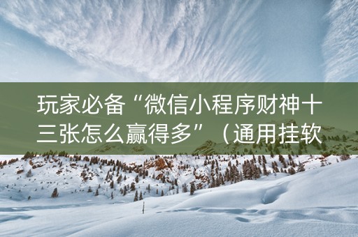 玩家必备“微信小程序财神十三张怎么赢得多”（通用挂软件多少钱)