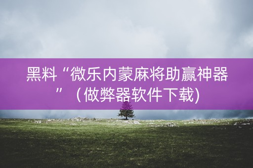 黑料“微乐内蒙麻将助赢神器”（做弊器软件下载)